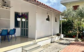 Mateo Villa Vlore